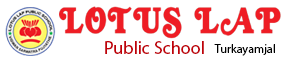 Lotus Lap Public School